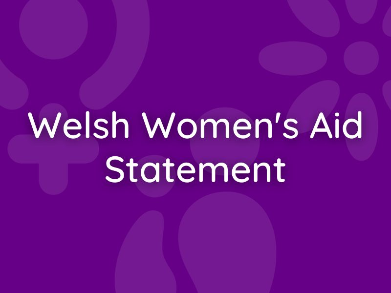 Statement on UK Government’s Violence Against Women and Girls  (VAWG) Strategy