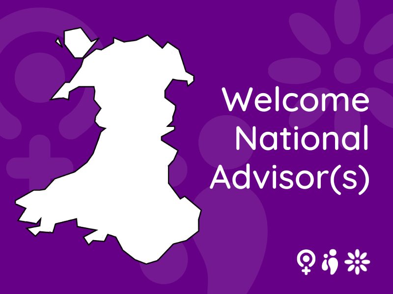Welsh Women’s Aid welcomes the appointment of VAWDASV National Advisor(s).
