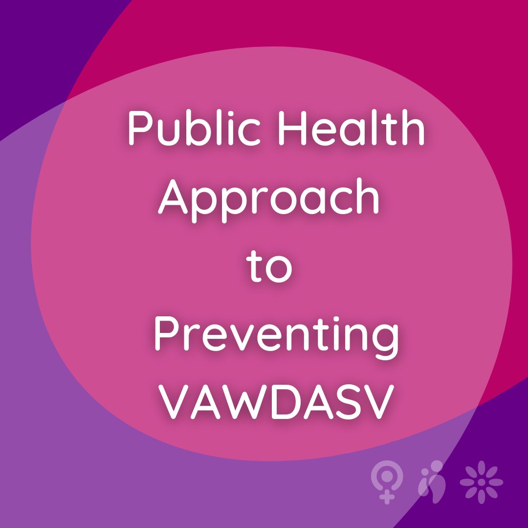 Pink and purple graphic with the text: Public Health Approach to Preventing VAWDASV