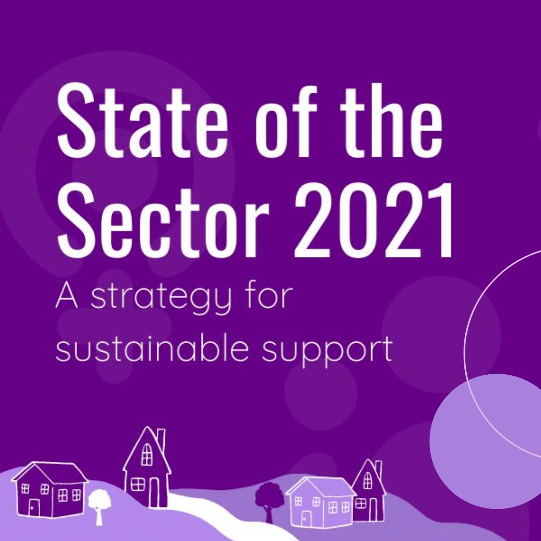 Screenshot of the cover of the State of the Sector 2021 report. Illustration of houses and trees on a hillside. Text says: A strategy for sustainable support. 