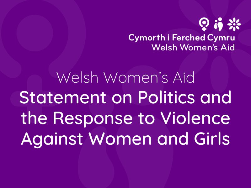 Statement on Politics and the Response to Violence Against Women and Girls