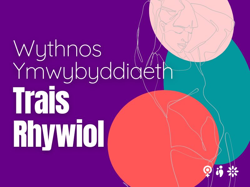 Wythnos Ymwybyddiaeth Trais Rhywiol