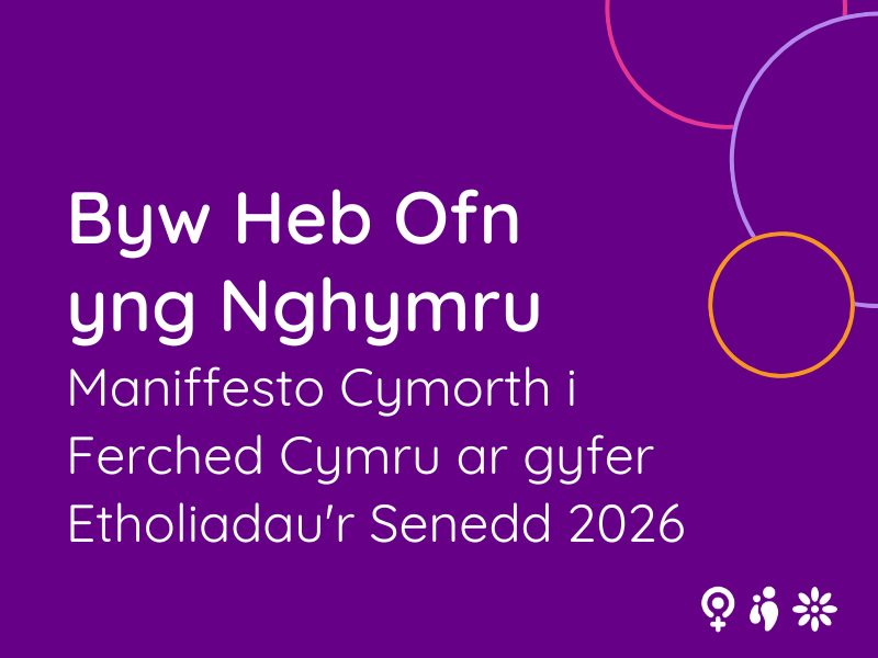 Purple background with white text, read: Living fear free in wales, welsh women's aid's manifesto for senedd election 2025