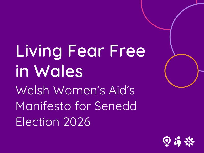 Purple background with white text, read: Living fear free in wales, welsh women's aid's manifesto for senedd election 2025