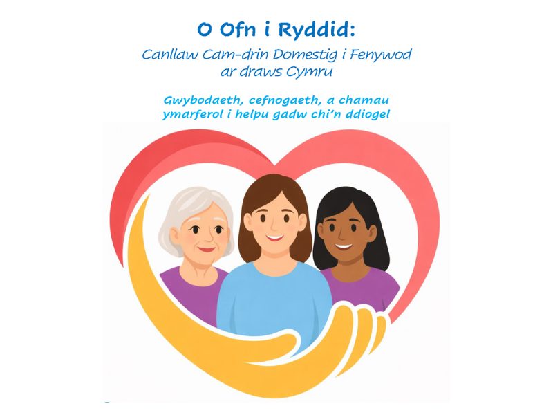 Domestic Abuse From Fear to Freedom - Guide To Domestic Abuse - CYM