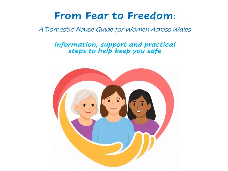 Domestic Abuse From Fear to Freedom - Guide To Domestic Abuse - ENG