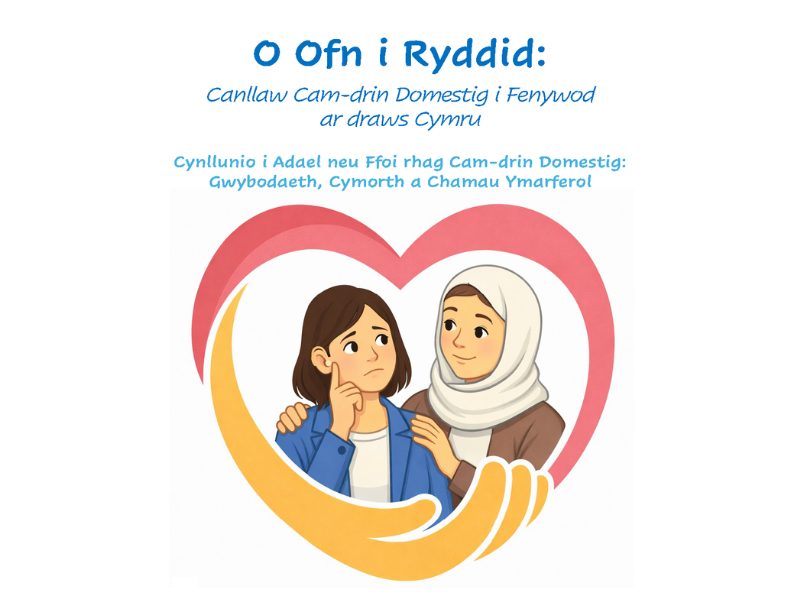 Domestic Abuse From Fear to Freedom - Guide To Fleeing Domestic Abuse - CYM