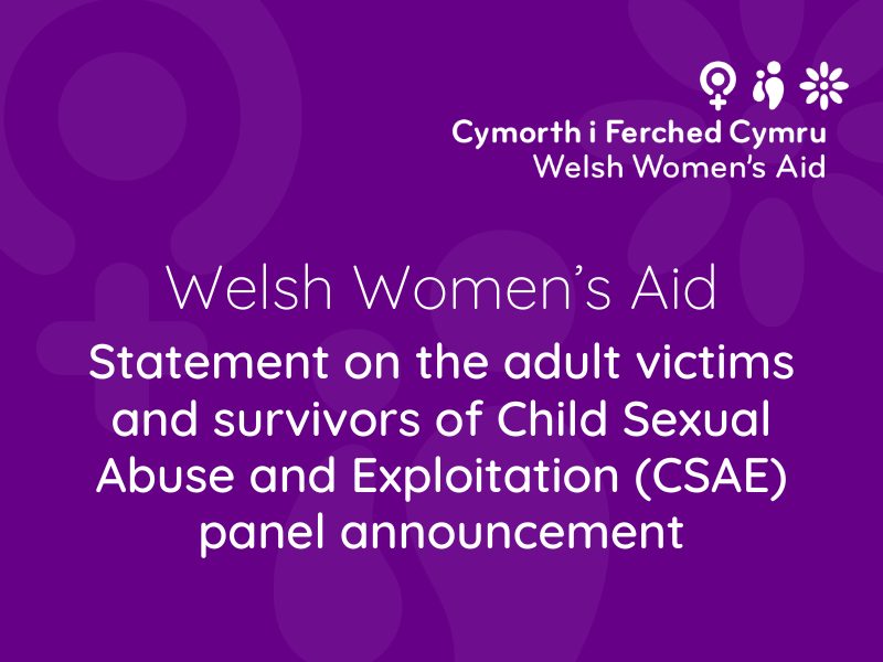 Statement on the adult victims and survivors of Child Sexual Abuse and Exploitation (CSAE) panel announcement